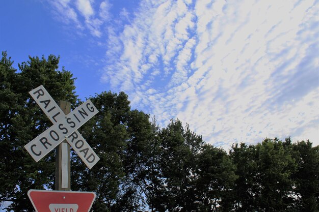 roncesvalles toronto neighbourhood name debate